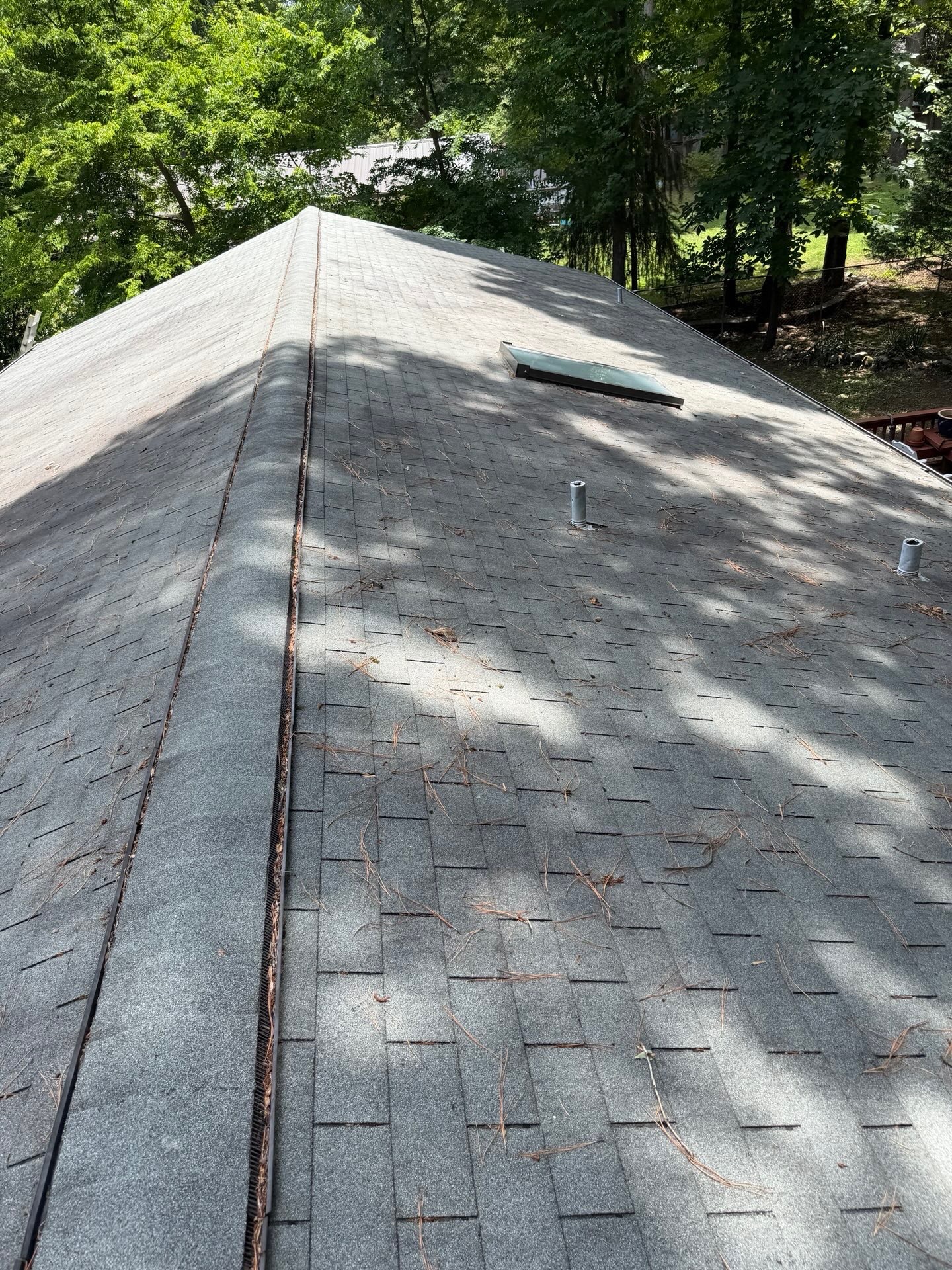 Before — worn 3-tab shingles with debris on ridge